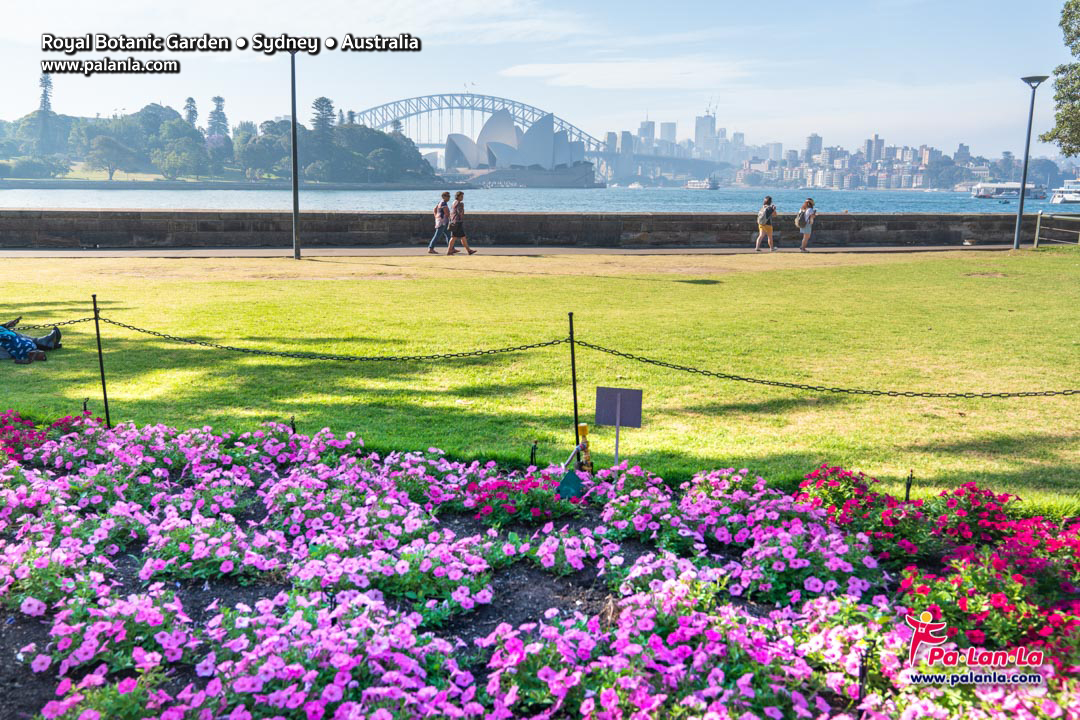 Royal Botanic Gardens